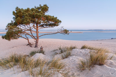 Plage et océan dans le sud-ouest